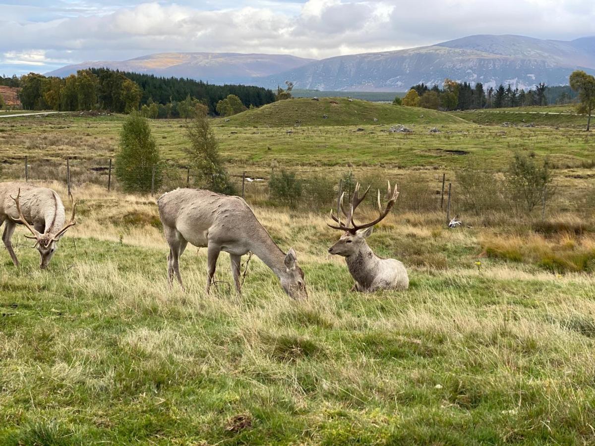 Ardenbeg Hotel Grantown-on-Spey Luaran gambar
